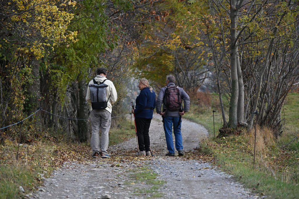 Three people walking on trail
